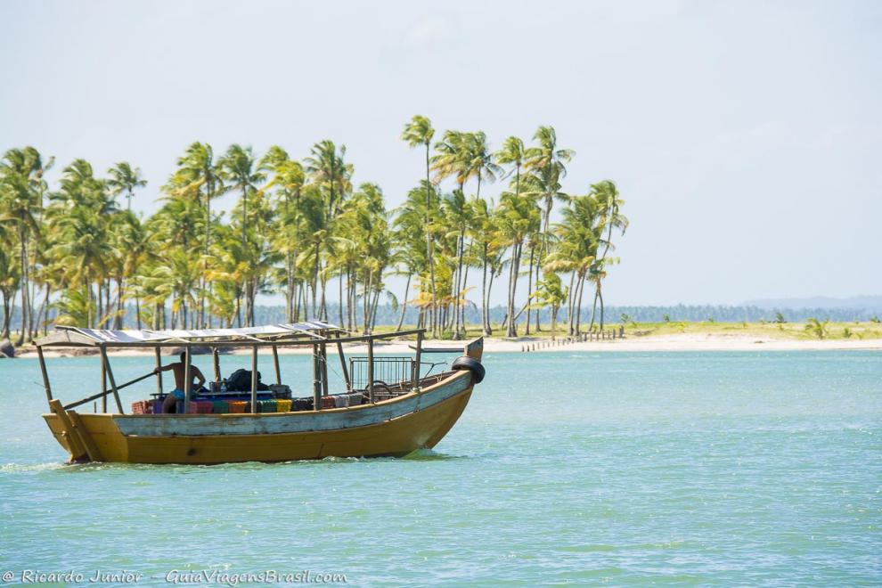 Imagem de um barco de pescador e coqueiros ao fundo na linda Praia da Boca da Barra.